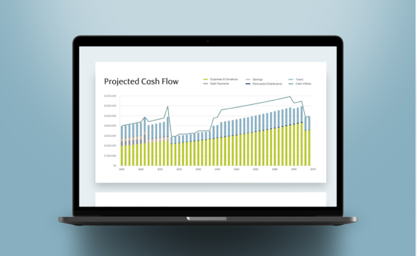 protected cash flow on laptop