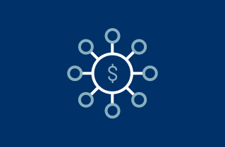 Icon of a web with a dollar sign