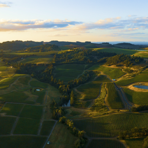 An aerial shot of a beautiful winery.