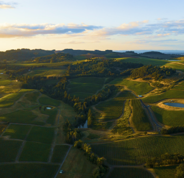 An aerial shot of a beautiful winery.