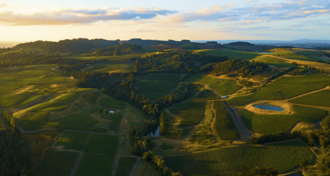 An aerial shot of a beautiful winery.