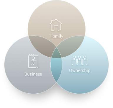 A Venn diagram showing the overlap of family, ownership, and business.