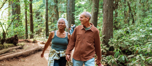 An elderly couple walking in the woods.