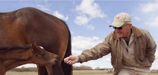 man feeding horse in page