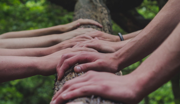 hands on tree branch
